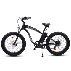 UL Certified-Ecotric Hammer Electric Fat Tire Beach Snow Bike