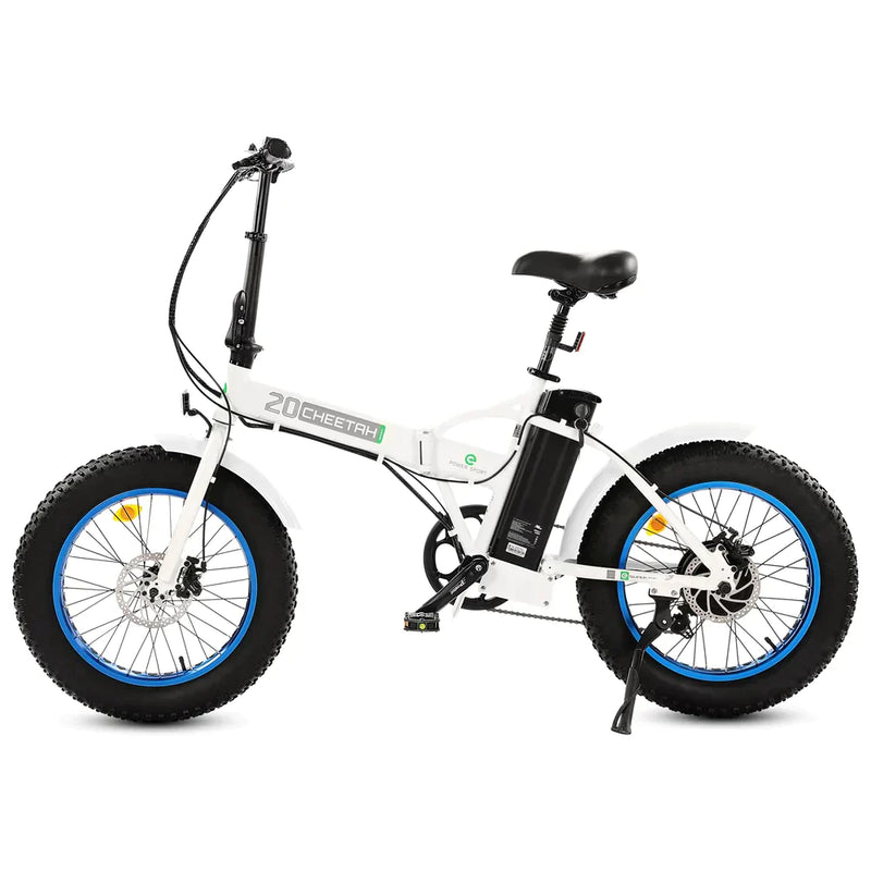 UL Certified-Ecotric 36V Fat Tire Portable and Folding Electric Bike